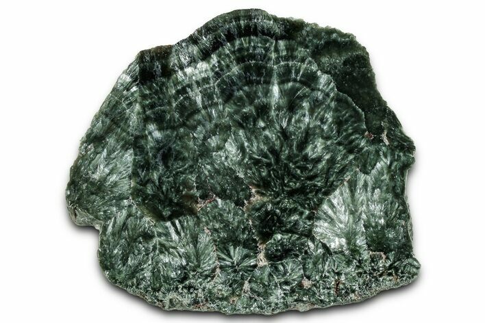 Polished Seraphinite Slab - Korshunovkiy Mine, Siberia #354247